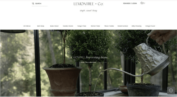LemonTree Co