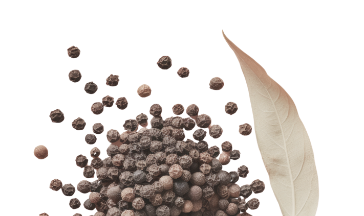 Background Asset 1